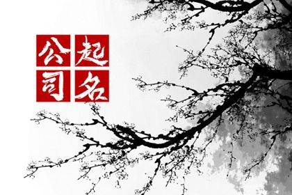 在线起名会泄露信息吗
